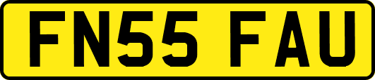 FN55FAU