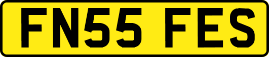 FN55FES