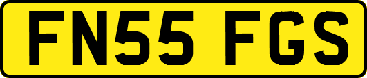 FN55FGS