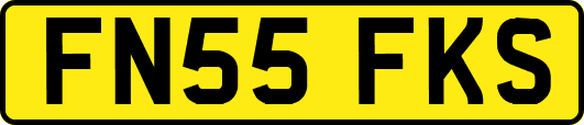 FN55FKS