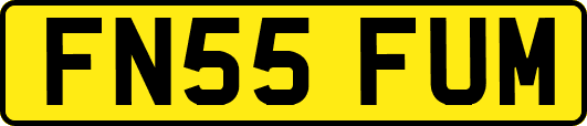 FN55FUM