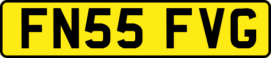 FN55FVG