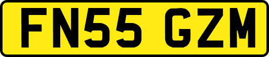FN55GZM
