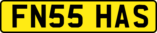 FN55HAS