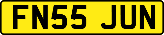 FN55JUN