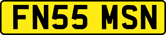 FN55MSN