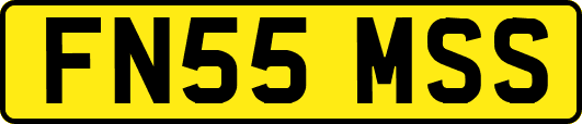 FN55MSS