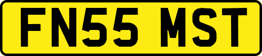 FN55MST