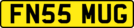 FN55MUG