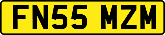 FN55MZM