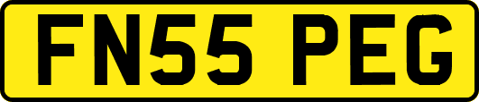 FN55PEG