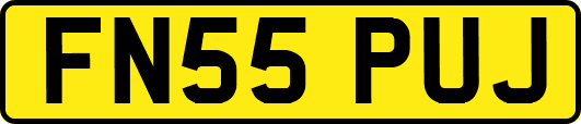 FN55PUJ