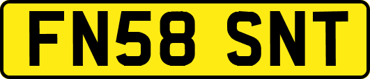 FN58SNT