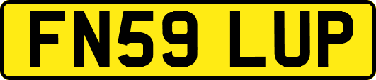 FN59LUP