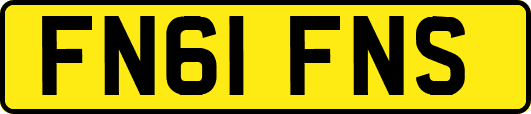 FN61FNS