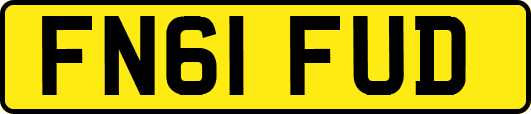 FN61FUD