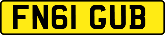 FN61GUB