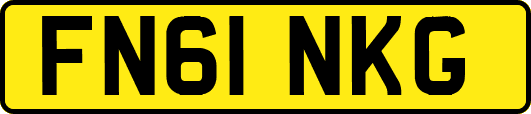 FN61NKG