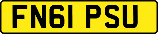 FN61PSU