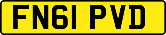 FN61PVD