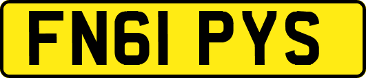 FN61PYS