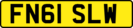 FN61SLW