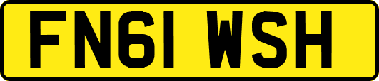 FN61WSH