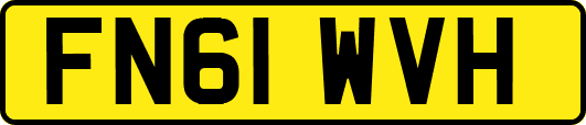 FN61WVH