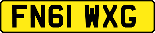 FN61WXG