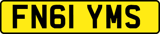 FN61YMS
