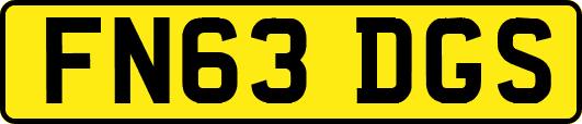 FN63DGS