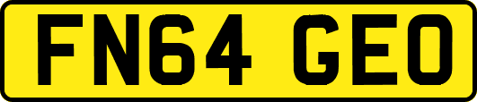 FN64GEO