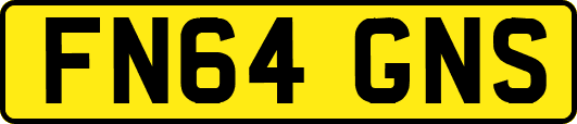 FN64GNS