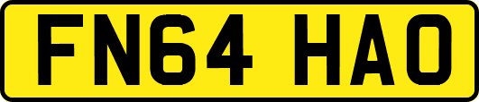 FN64HAO