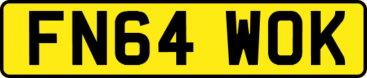 FN64WOK