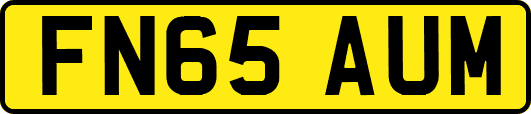 FN65AUM
