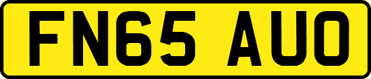 FN65AUO