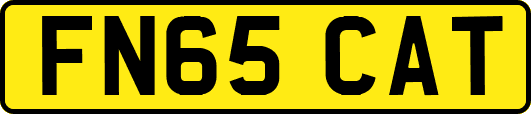 FN65CAT