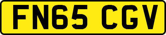 FN65CGV