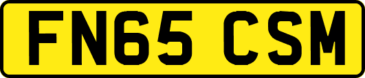 FN65CSM