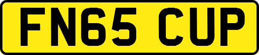 FN65CUP