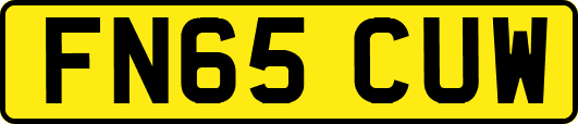 FN65CUW