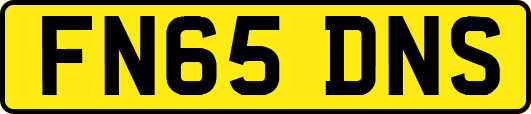 FN65DNS