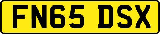 FN65DSX