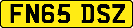FN65DSZ