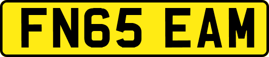 FN65EAM