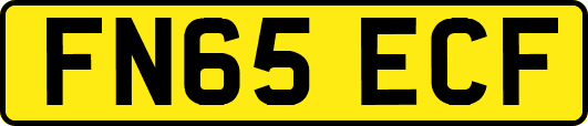 FN65ECF