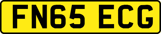 FN65ECG