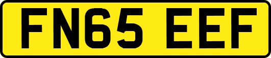 FN65EEF
