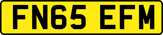 FN65EFM